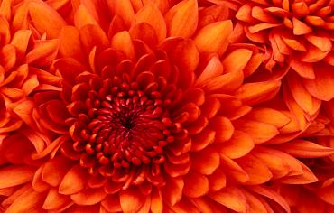 blog deneme 